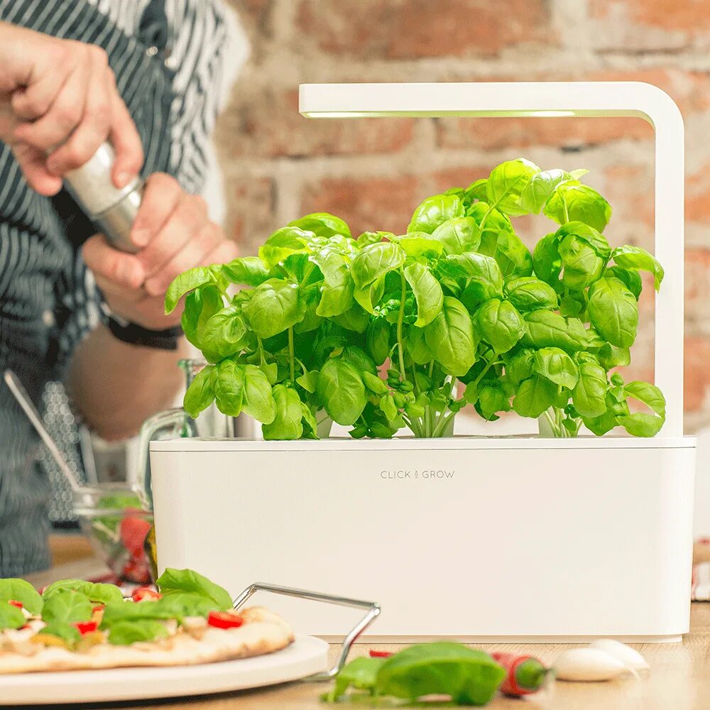 Click and grow. Click and grow. Click & grow smart garden 9. Смарт гарден. Умный сад с подсветкой.