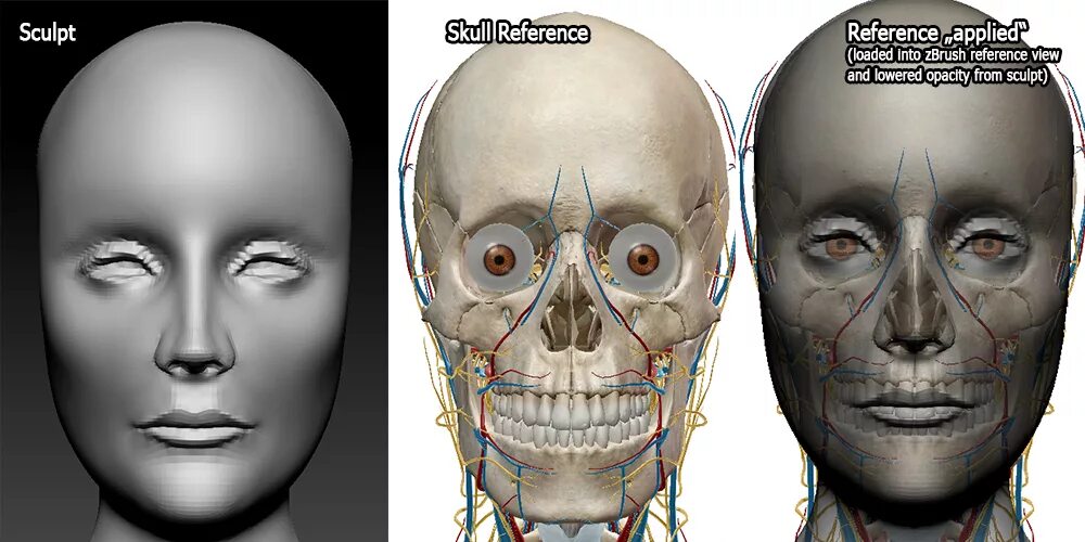 Reference view
