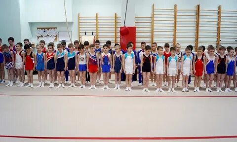 Соревнования по спортивной гимнастике дети