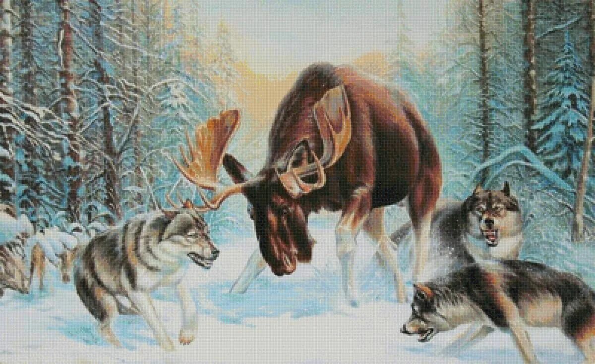 Беседа жизнь животных зимой