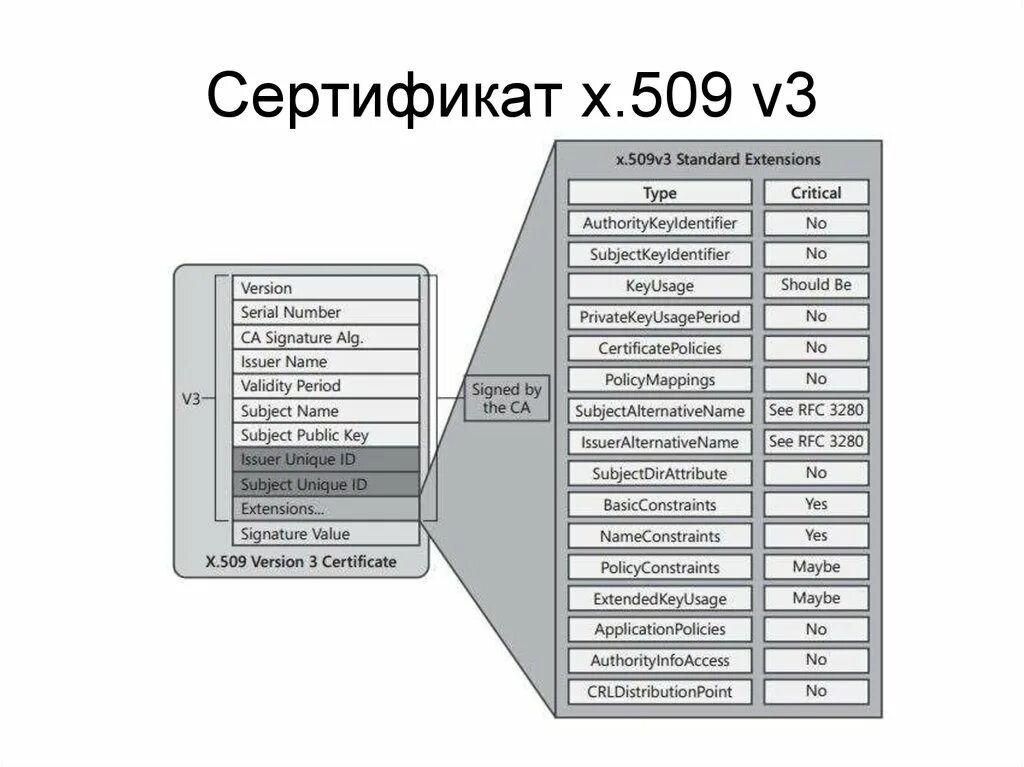 Стандарт x.509 v.3. Структура сертификата x.509. Структура x509 Certificate. X509 сертификат.