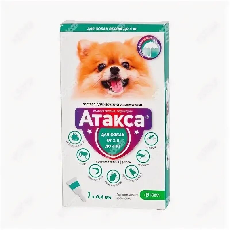 Собаки до 5 кг