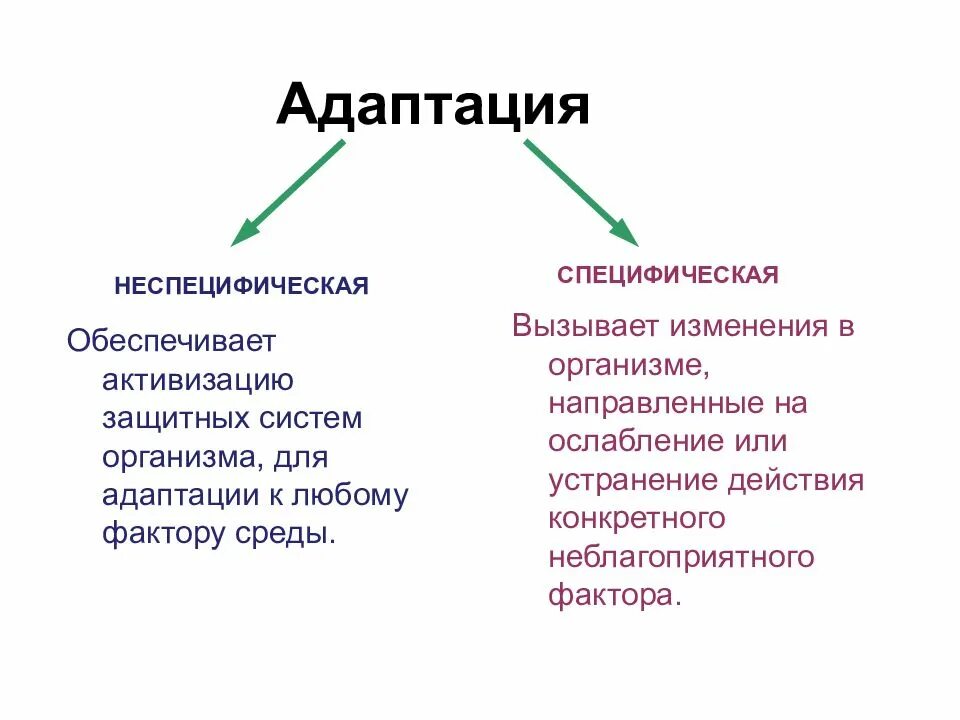 Стресс реакция адаптации. Специфическая и неспецифическая адаптация. Специфические и неспецифические адаптационные реакции организма.. Что такое специфические и неспецифические формы адаптаций. Неспецифическая адаптация.