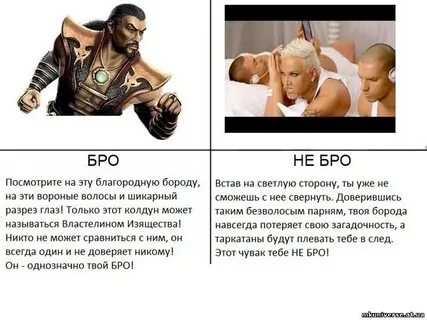 Брей бро каштановая