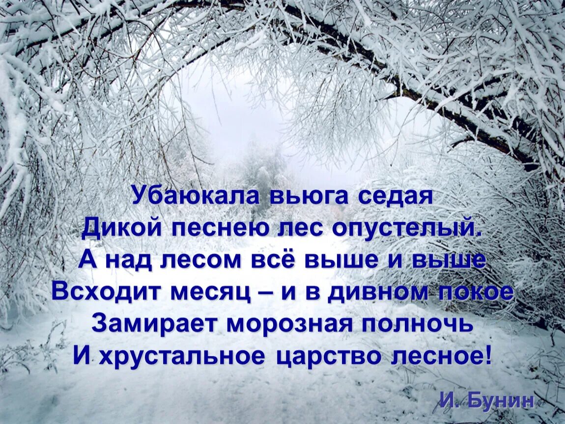 В дни зимних вьюг текст егэ. Убаюкала вьюга Седая. Бунин убаюкала вьюга Седая. Отшумели вьюги. Бунин зимние вьюги.