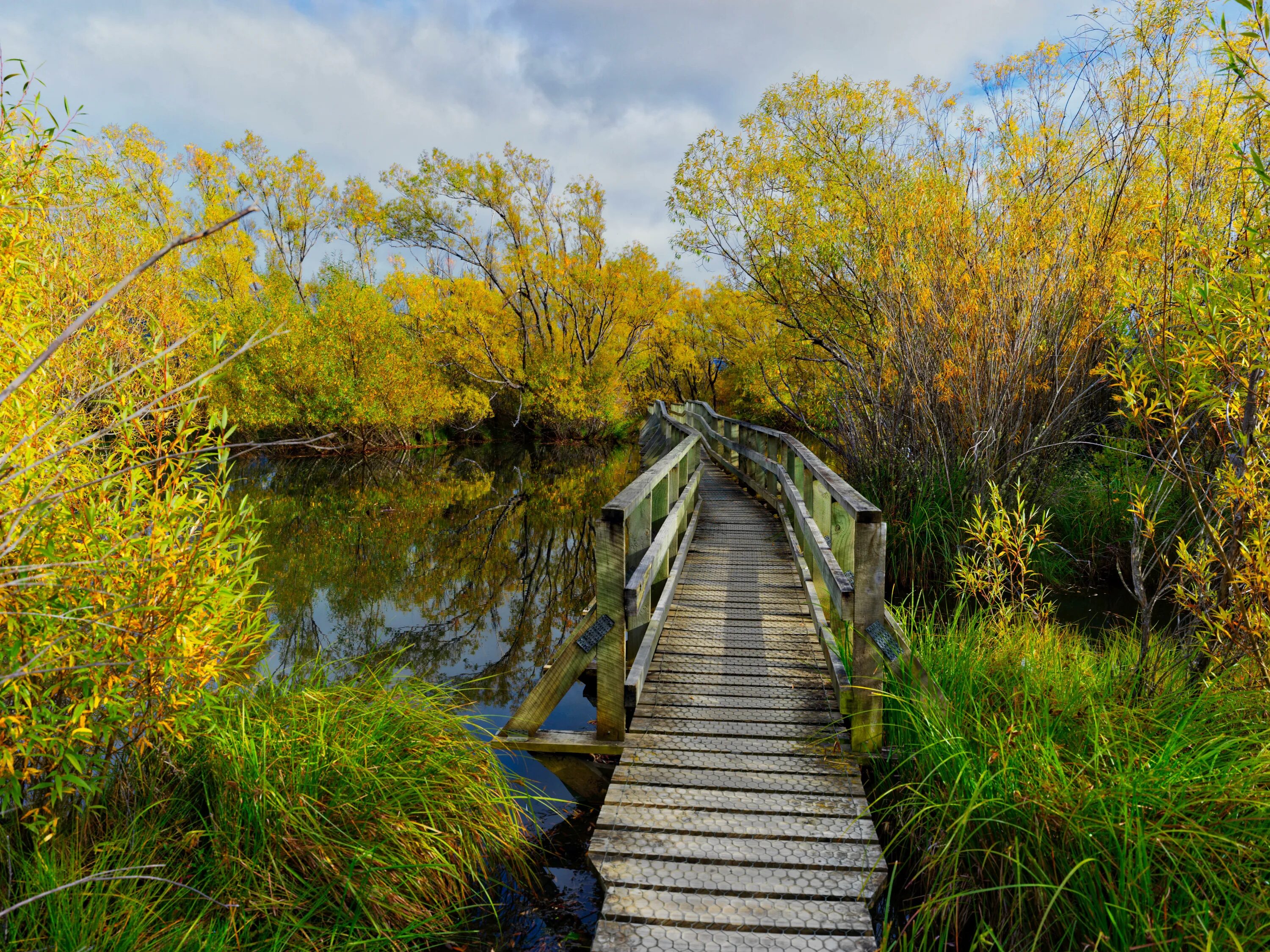 Пейзаж с мостиком. Природа речка мостик. Деревенский мостик. Пейзаж с речкой и мостиком.