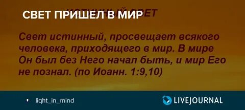 Света прислала