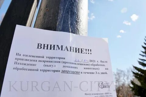 Территория обработана