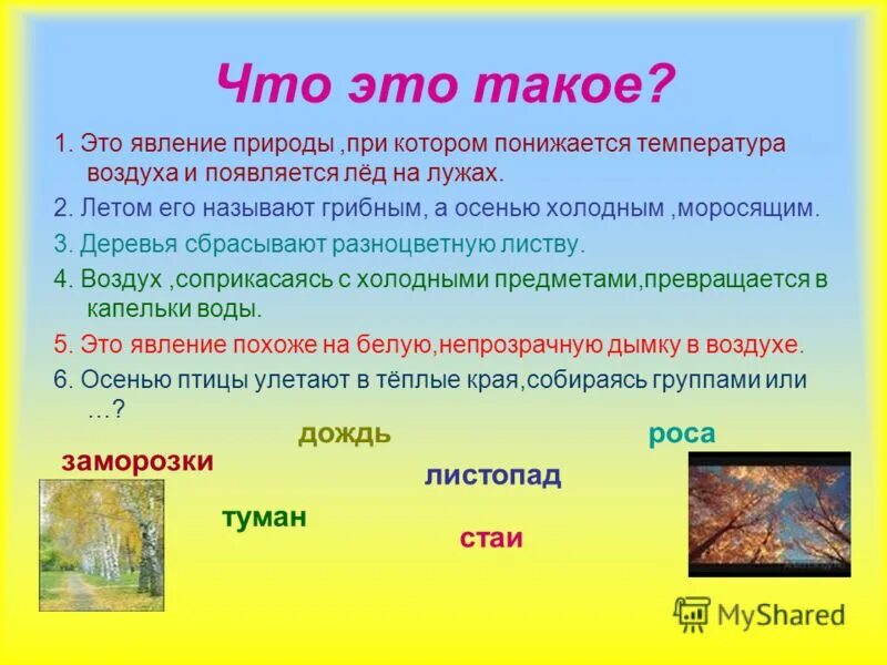 красивые предложения про осень. прозрачный осенний воздух тип предложения. прозрачный осенний воздух тип предложения. корзина с еловыми шишками в кластере. текст ранняя осень.