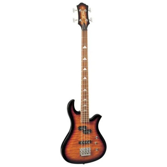 Гитара rich. Гитара b c rich бас. b.c. rich eagle bass. электрогитара b.c. rich eagle archtop. bc rich eagle.