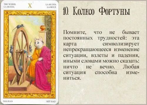 Карты таро кошки значение. Таро белых кошек. таро белых кошек трактовка. таро белых кошек толкование карт. значение карт таро белых кошек.