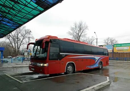 Автобус козельск москва