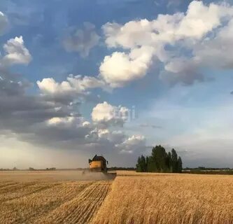 Над узкой
