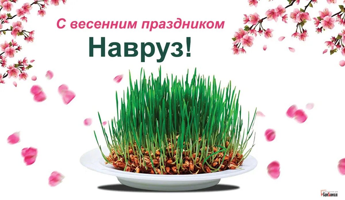 Открытки с праздником навруз с пожеланиями. 21 март с праздником навруз. открытки с праздником навруз.