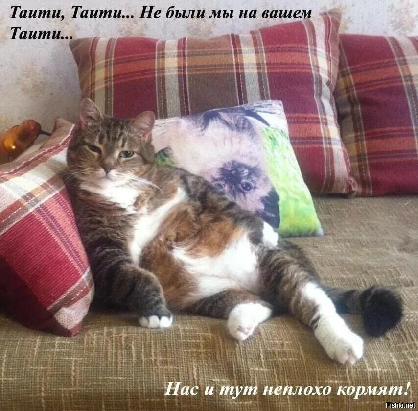 Не были мы ни какой