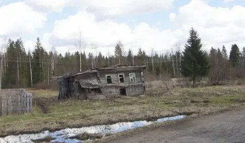 Дерняки погода