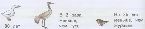 Сколько лет гусю