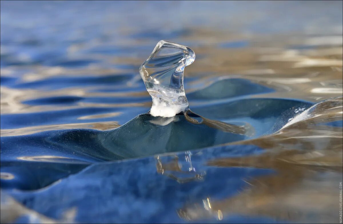 Лед растаявший он вода. Льдинки в воде. Тающая Льдинка. Льдинка жидкость. Мелкие льдинки.