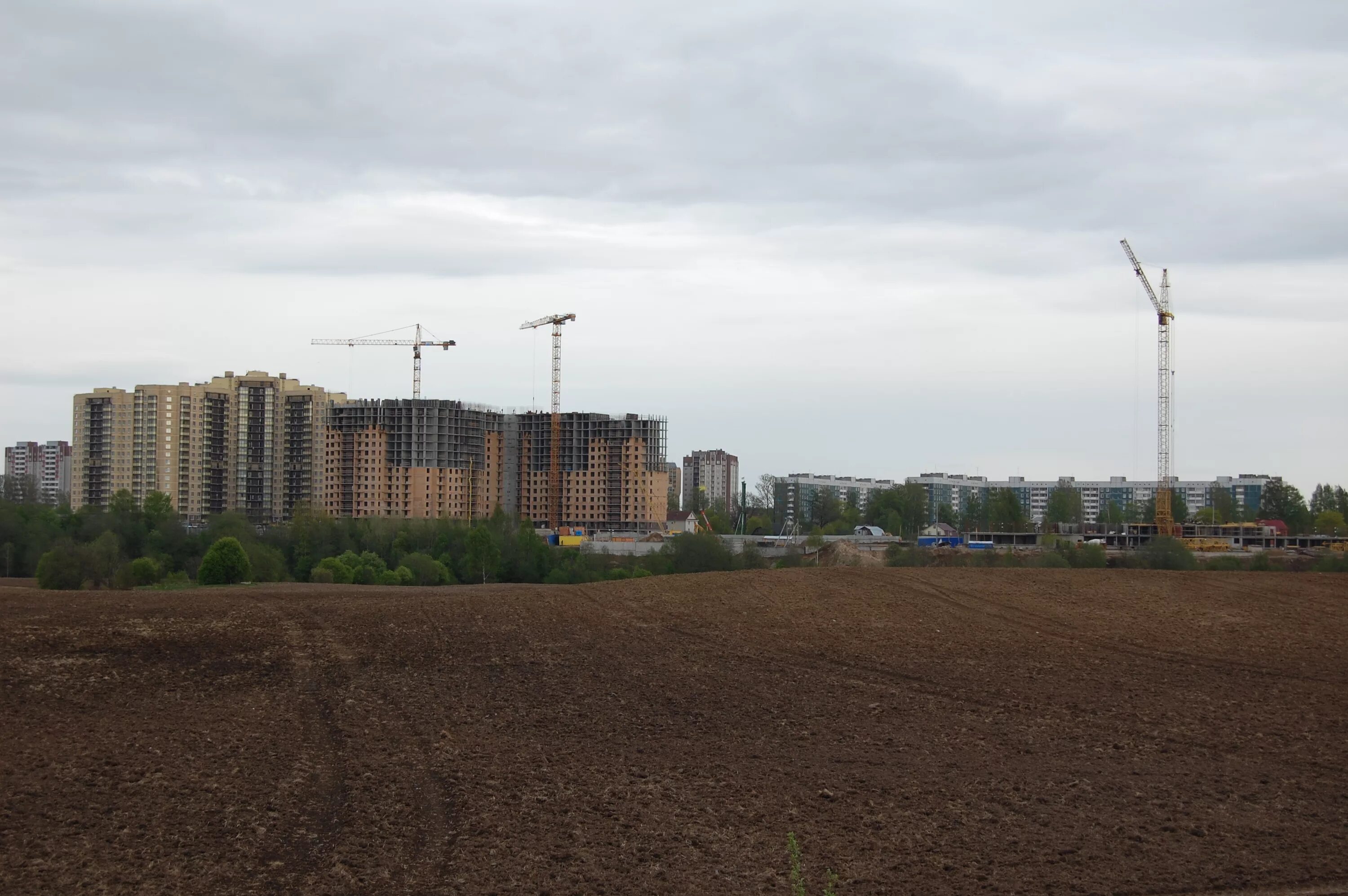 Лаврики 10. Деревня лаврики. лаврики ленинградская область.