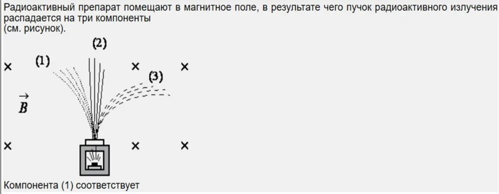 В сильном магнитном поле пучок радиоактивного. Контейнер с радиоактивным веществом помещают в магнитное поле. Пучок радиоактивного излучения распадается на три компонента. Пучок радиоактивного излучения распадается на три компоненты. Радиоактивный препарат помещают в магнитное поле, в результате чего.