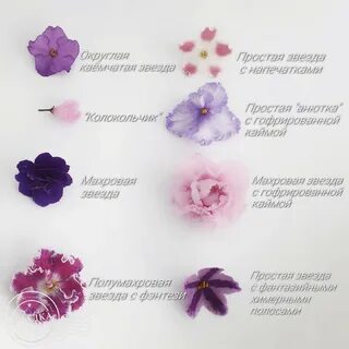 Какая форма цветка