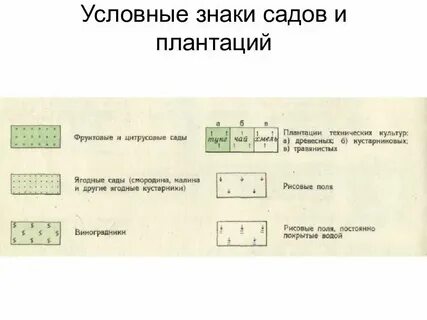 Знаки в задачах