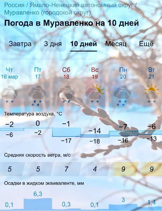 прогноз погоды санктпетерб. какая погода сегодня в муравленко. погода г муравленко. погода на завтра. прогноз погоды в муравленко.