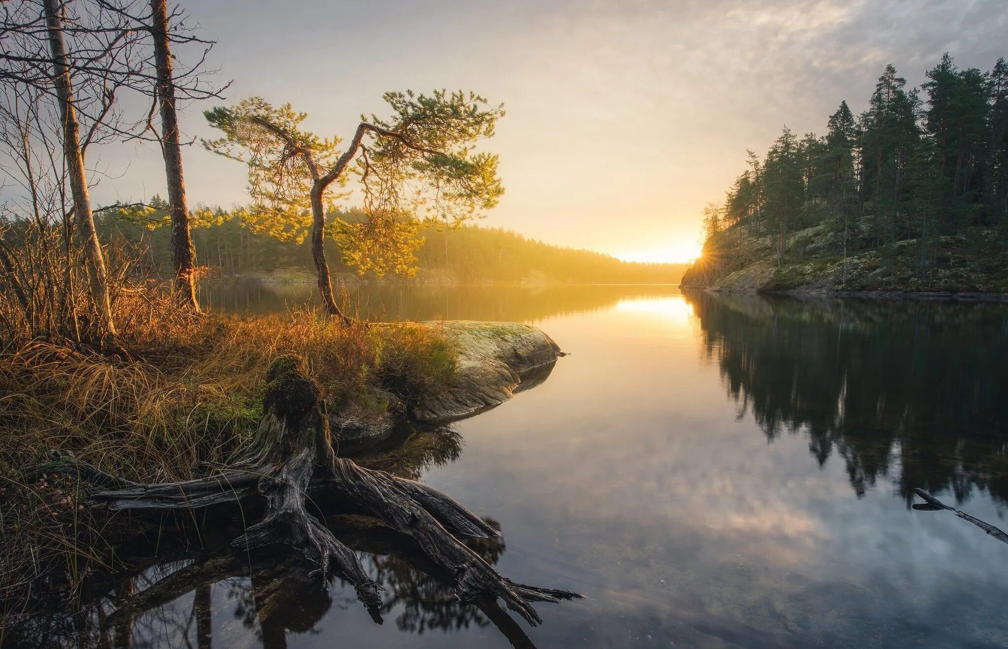 Лес река рассвет. Рассвет на реке. Финские озера финляндия 1920. Утренний пейзаж. Природа.
