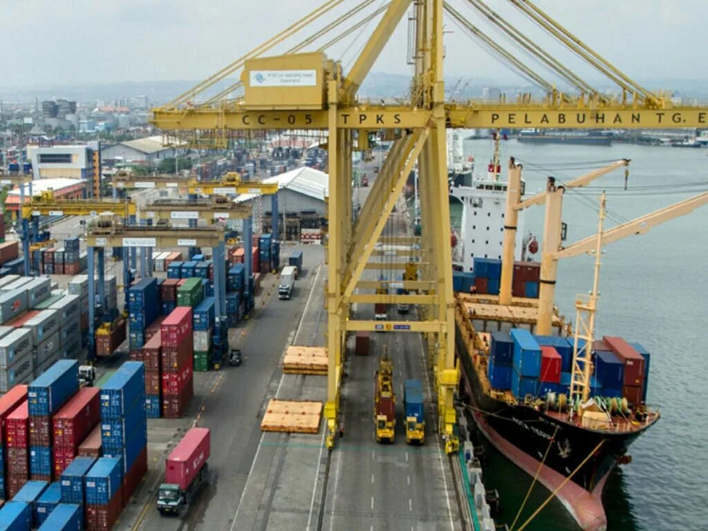 T s port