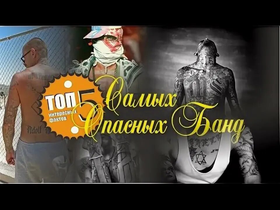 Машинки эпические прыжки. 5 самых опасных мест на земле. Вредные привычки из детства. Самые опасные горы мира. Плохая диета.