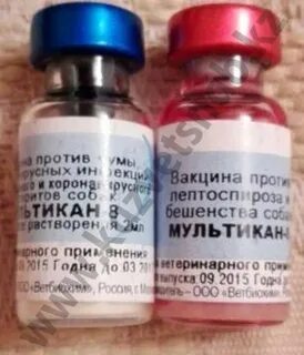 Прививка мультикан 8