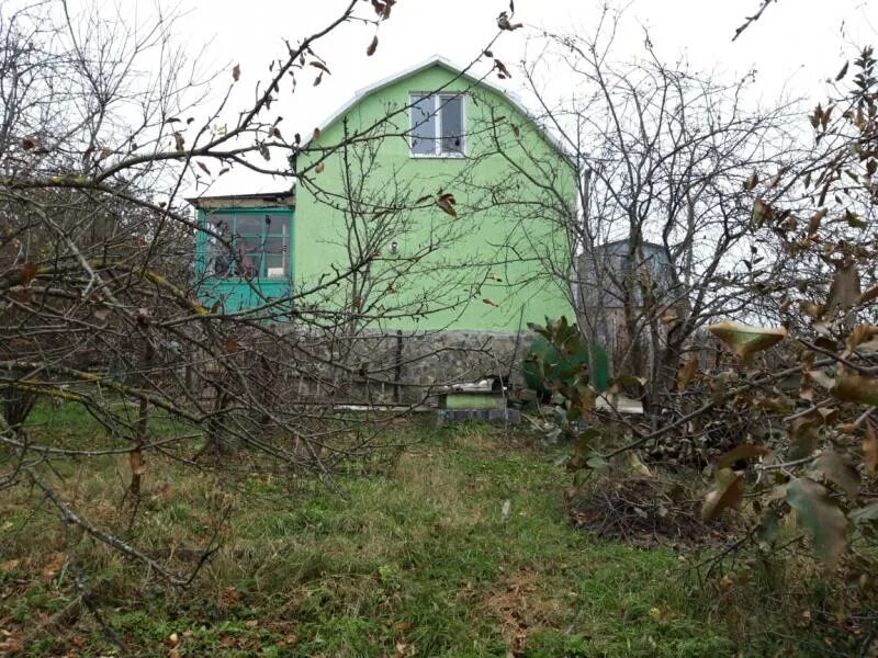 дачный посёлок анапа. сот анапы. дача анапа. поселок колос анапа. сот здоровье анапа.