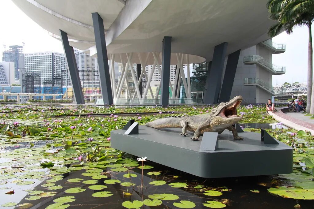 Музей искусств сингапур. Marina bay sands музей. Музей искусств сингапур. Музей искусства и науки art science сингапур. Музей искусства и науки сингапур внутри.