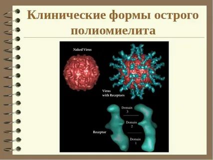 Возбудителем полиомиелита является
