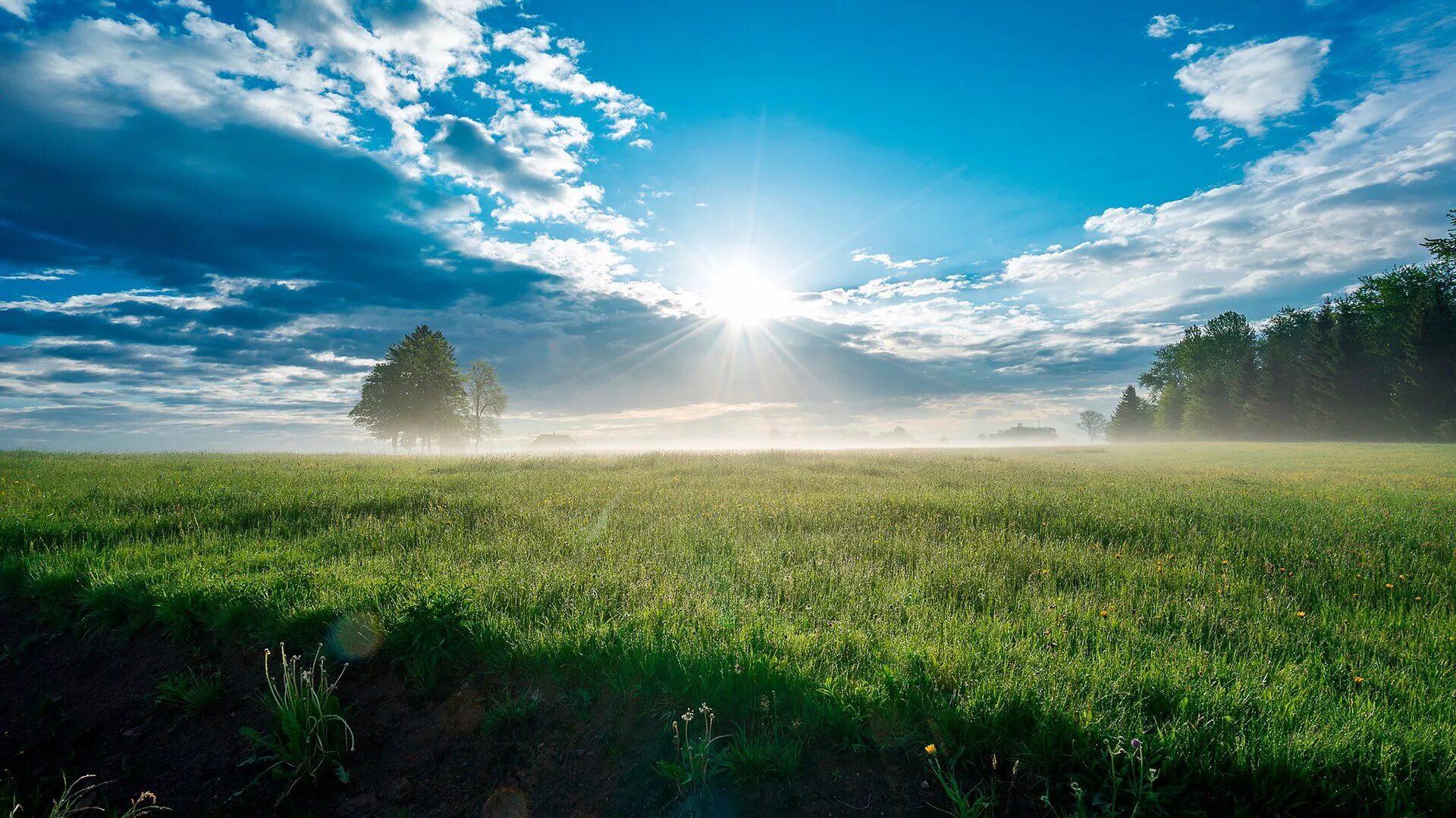 Чистый полдень. Чистый полдень. Солнечный летний день. Природа жаркий летний день. Лениво дышит полдень мглистый лениво катится река.