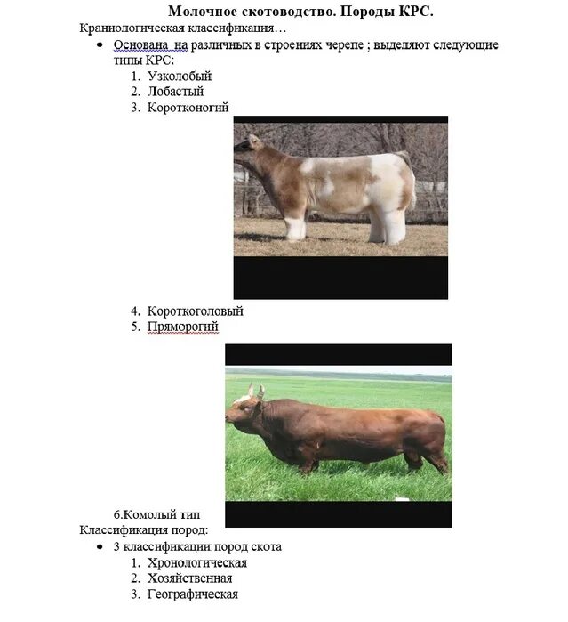 Породы крупного рогатого скота. Породы сельскохозяйственных животных. Разведение крупного рогатого скота породы. Породы крупного и мелкого рогатого скота. Презентация на тему крс.