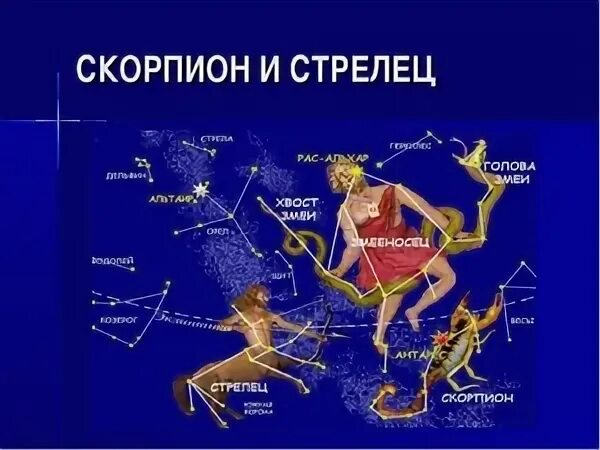 Отношения скорпиона и стрельца женщины. Скорпион и стрелец. созвездие стрельца и скорпиона. змееносец стрелец скорпион. стрелец козерога и скорпиона созвездия.