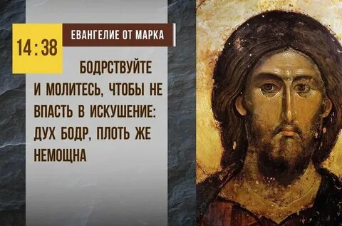 Библия отвечает
