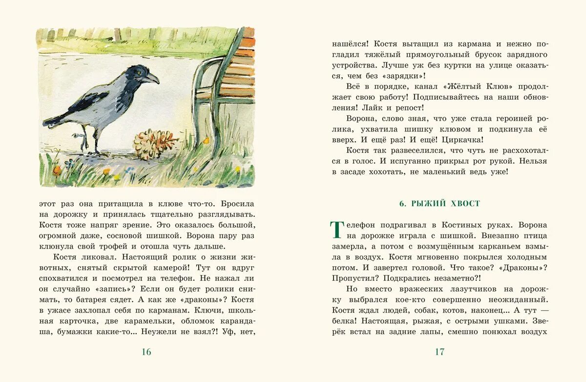 Н н назаркин про личную жизнь. Зяблик из клана Фениксов. Рассказ н Сладкова упрямый Зяблик. Книга Назаркин Зяблик из.