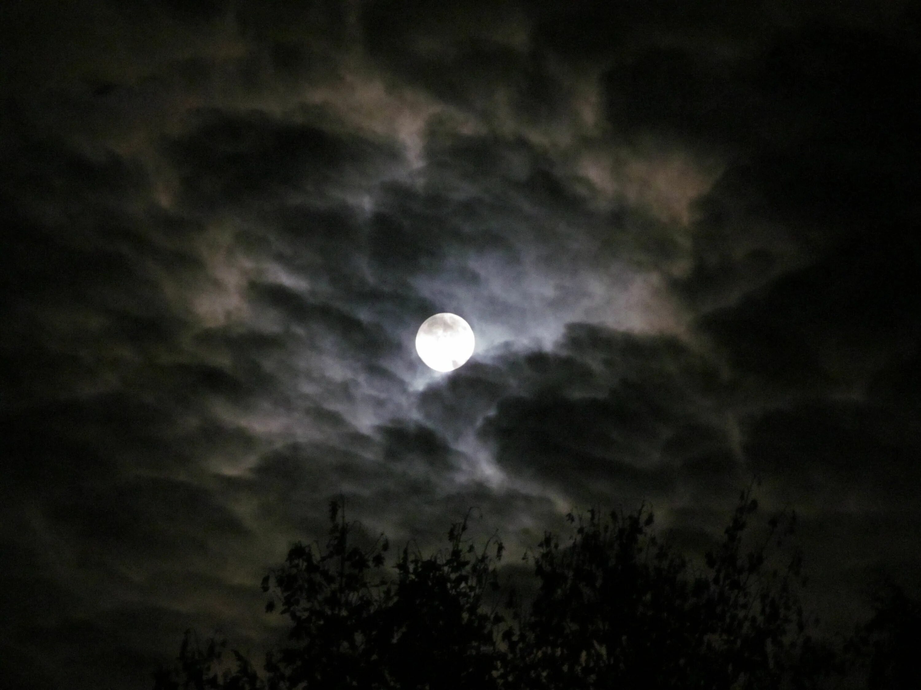 Clouded moon. Лунное затмение в ноябре 2021. Лунная ночь. Мрачное ночное небо. Ночное небо страшное.