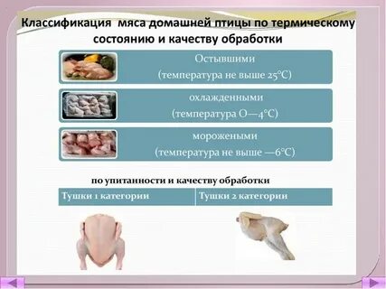 В каком состоянии птица поступает на предприятии