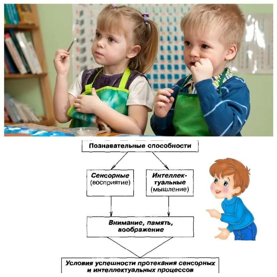 Развитые когнитивные способности. Познавательные навыки дошкольников. Познавательные способности детей. Когнитивные способности дошкольников. Развиваем Познавательные способности дошкольника.