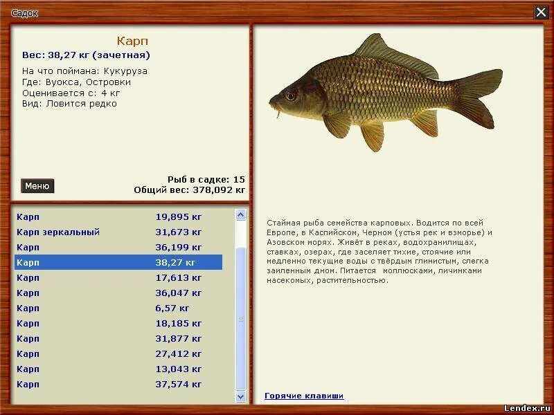 Карп русская рыбалка 3. Где можно поймать рыбу. Где ловится рыба. Карп зеркальный реальная рыбалка. Какая рыба на что ловится.