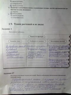 Биология 6 класс параграф 5 ткани