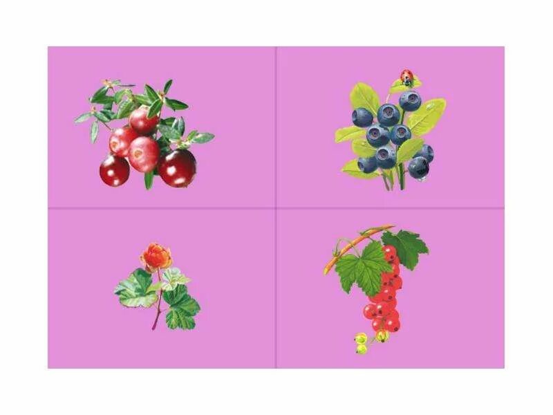 Четвертый лишний на тему ягоды. Карточки ягоды для детей. Четвертый лишний фрукты ягоды. Игра ягода. Дидактические игры лесные ягоды.