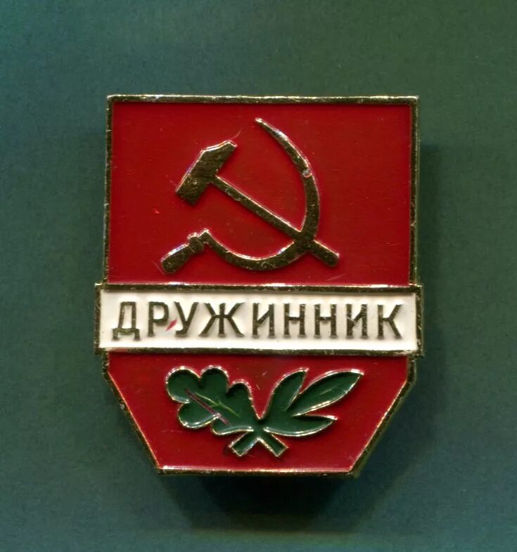 народный дружинник иконка. полицейский вневедомственной охраны росгвардии.