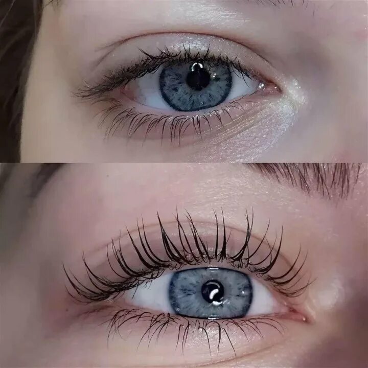 Тонкие и толстые ресницы для ламинирования. Elleebana ламинирование ресниц. Ламинированные ресницы. Ламинируют ли нижние ресницы. Ламинирование ресниц в орле.