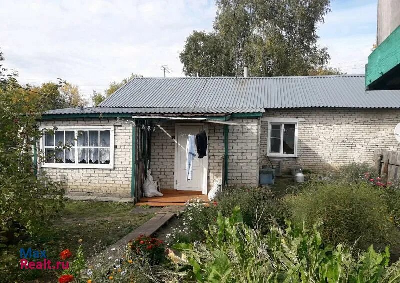 Село рожнев лог. Рожнев лог ребрихинский район алтайский край. село рожнев лог алтайский край. с рожнев лог ребрихинского. село рожнев лог ребрихинский район.