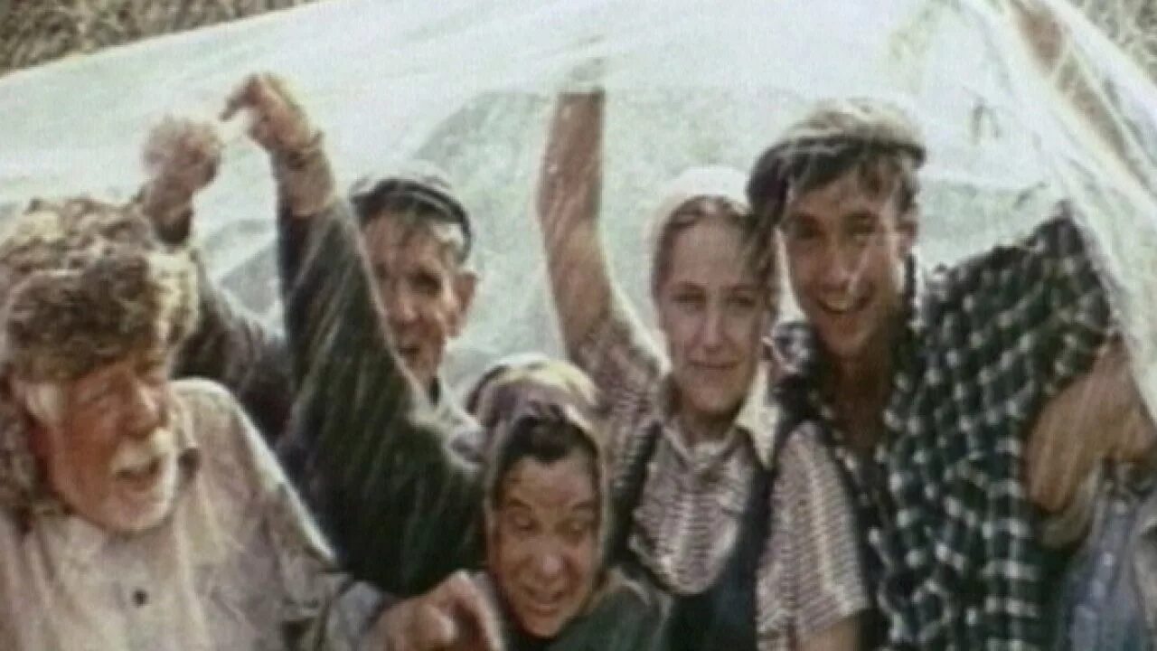 Рябиновые ночи 1984. Рябиновые ночи 1984. Рябиновые ночи 1984. Рябиновые ночи явление. Рябиновые ночи 1984.