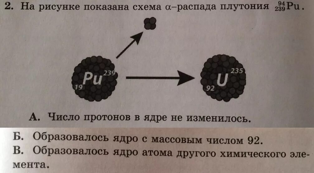 Распад плутония 239. Схема распада плутония. Распад плутония 239 схема. Деление ядер плутония. Распад урана 239.